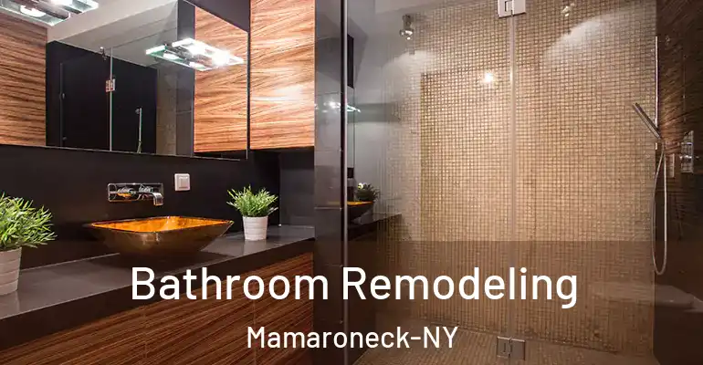 inner Bathroom imggen Bathroom Remodeling Mamaroneck-NY