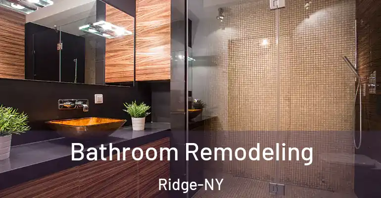 inner Bathroom imggen Bathroom Remodeling Ridge-NY