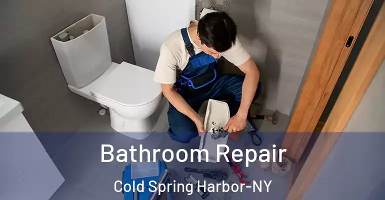 inner Bathroom imggen Bathroom Repair Cold Spring Harbor-NY