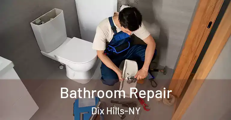 inner Bathroom imggen Bathroom Repair Dix Hills-NY