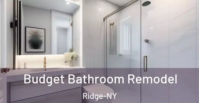 inner Bathroom imggen Budget Bathroom Remodel Ridge-NY