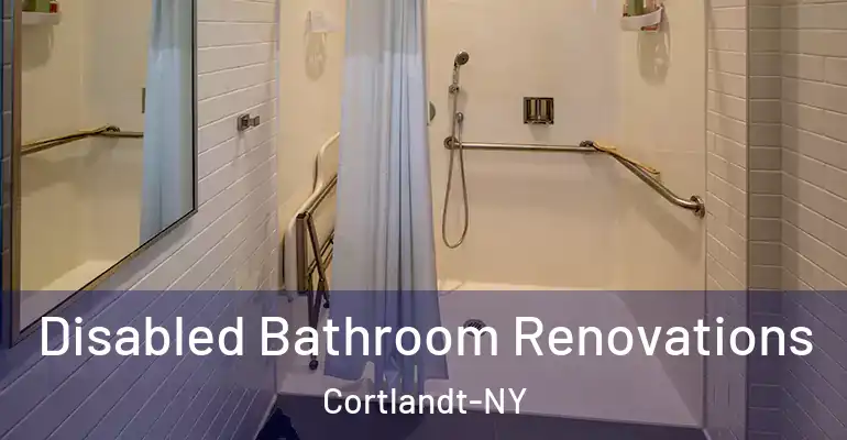 inner Bathroom imggen Disabled Bathroom Renovations Cortlandt-NY
