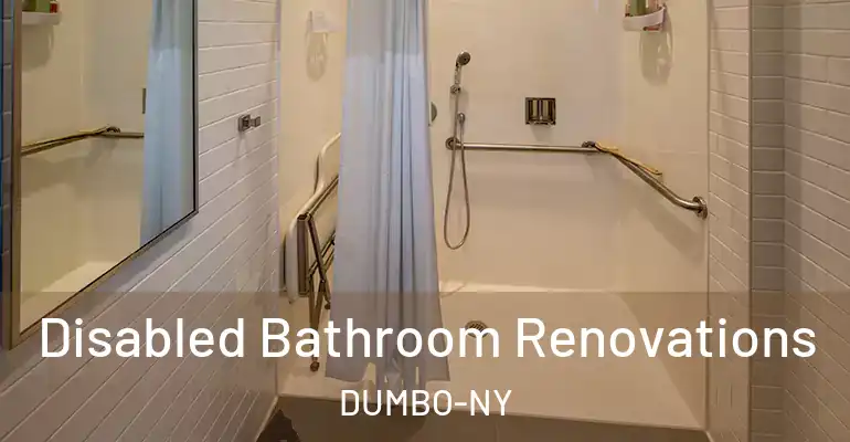 inner Bathroom imggen Disabled Bathroom Renovations DUMBO-NY