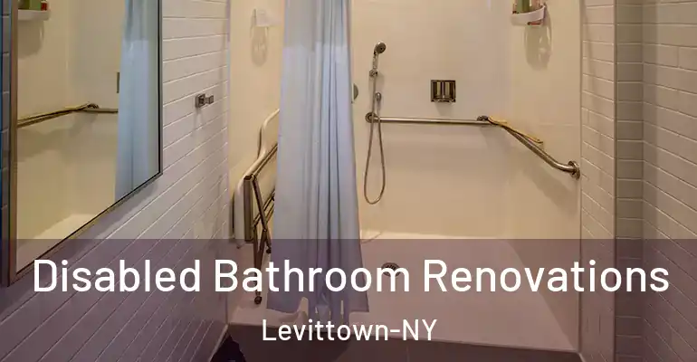 inner Bathroom imggen Disabled Bathroom Renovations Levittown-NY