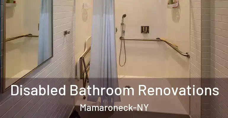 inner Bathroom imggen Disabled Bathroom Renovations Mamaroneck-NY