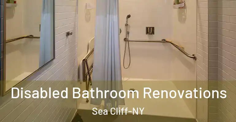 inner Bathroom imggen Disabled Bathroom Renovations Sea Cliff-NY