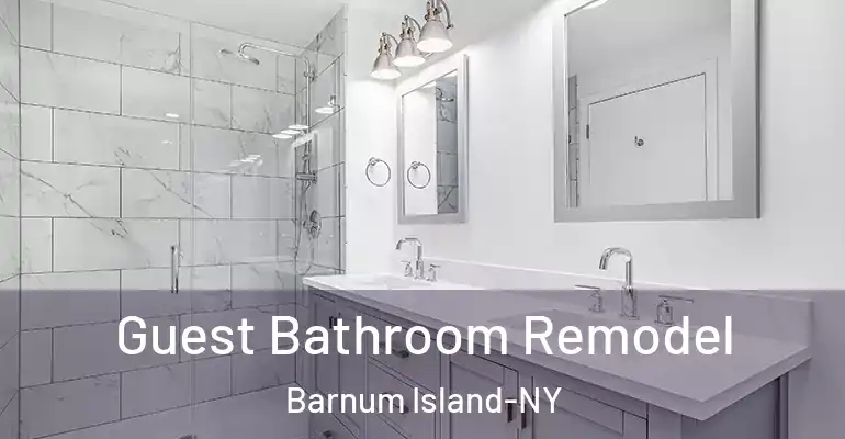 inner Bathroom imggen Guest Bathroom Remodel Barnum Island-NY