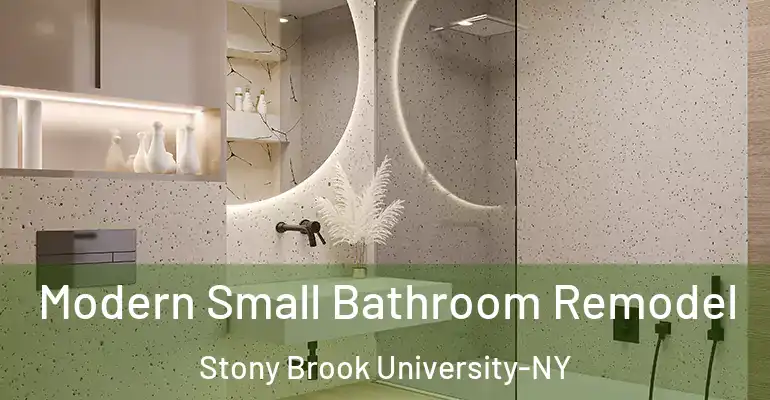 inner Bathroom imggen Modern Small Bathroom Remodel Stony Brook University-NY
