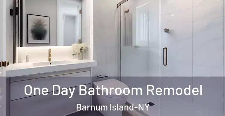 inner Bathroom imggen One Day Bathroom Remodel Barnum Island-NY