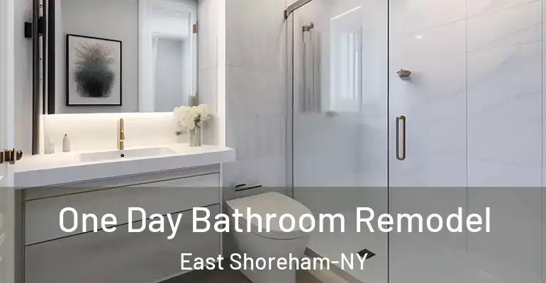 inner Bathroom imggen One Day Bathroom Remodel East Shoreham-NY