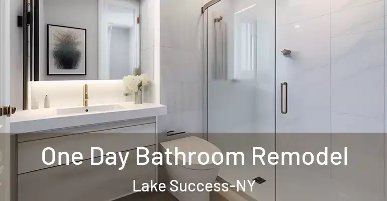 inner Bathroom imggen One Day Bathroom Remodel Lake Success-NY