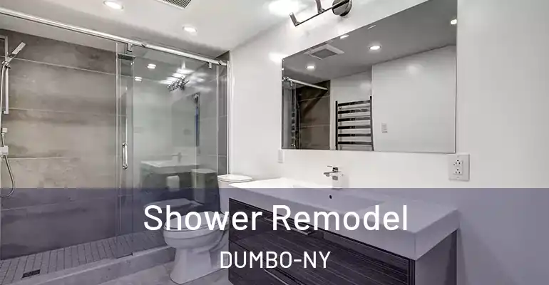 inner Bathroom imggen Shower Remodel DUMBO-NY