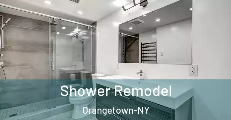 inner Bathroom imggen Shower Remodel Orangetown-NY