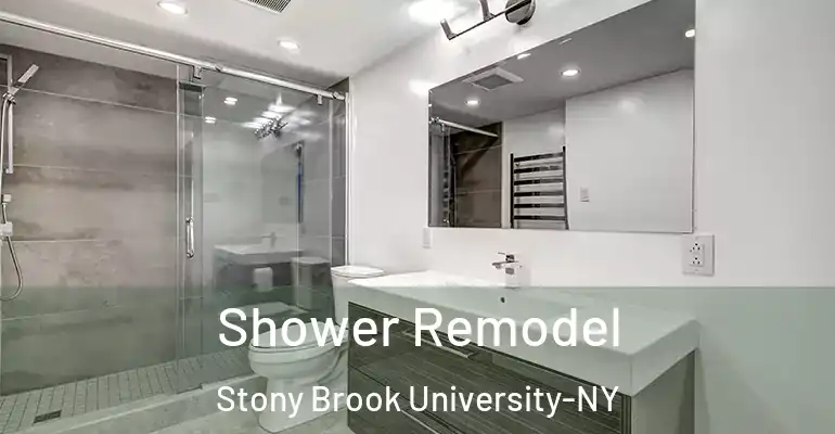 inner Bathroom imggen Shower Remodel Stony Brook University-NY