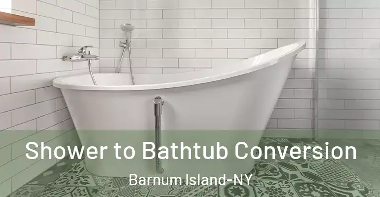 inner Bathroom imggen Shower to Bathtub Conversion Barnum Island-NY