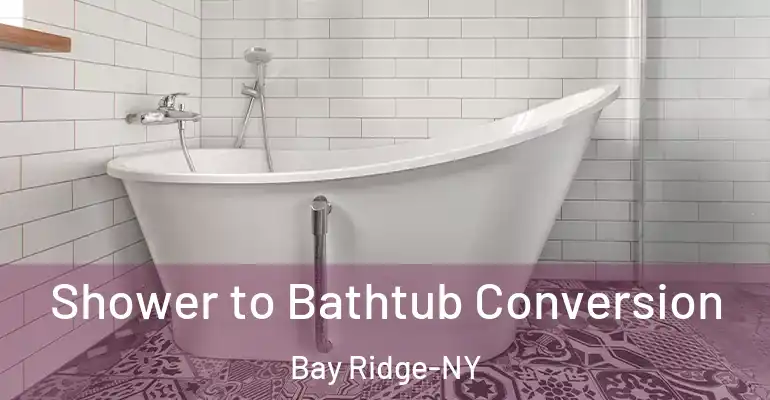 inner Bathroom imggen Shower to Bathtub Conversion Bay Ridge-NY