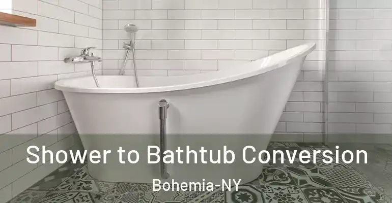 inner Bathroom imggen Shower to Bathtub Conversion Bohemia-NY
