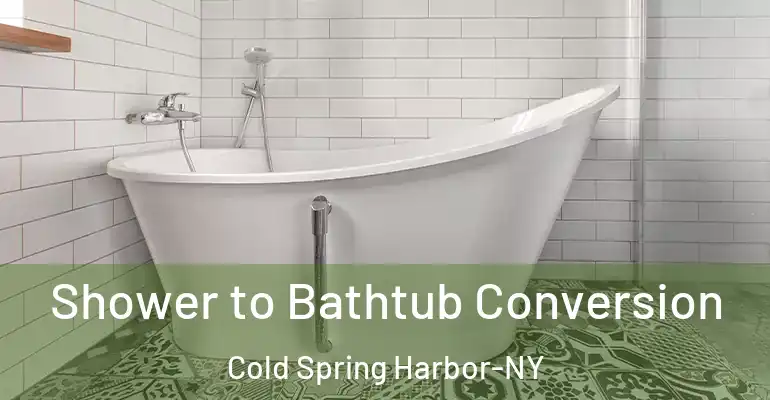 inner Bathroom imggen Shower to Bathtub Conversion Cold Spring Harbor-NY