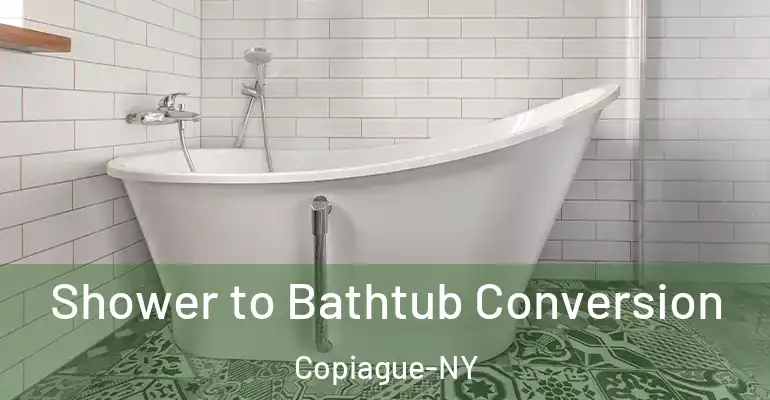 inner Bathroom imggen Shower to Bathtub Conversion Copiague-NY