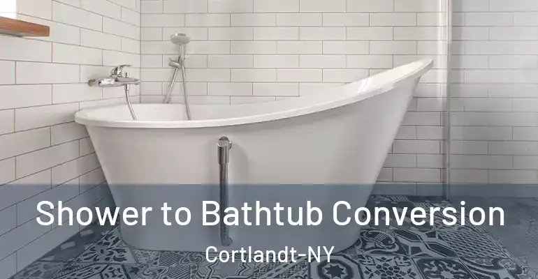 inner Bathroom imggen Shower to Bathtub Conversion Cortlandt-NY
