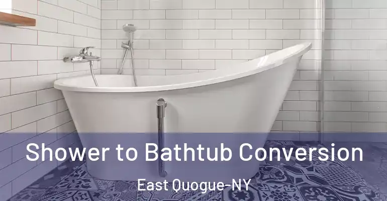 inner Bathroom imggen Shower to Bathtub Conversion East Quogue-NY