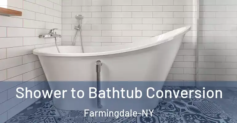inner Bathroom imggen Shower to Bathtub Conversion Farmingdale-NY