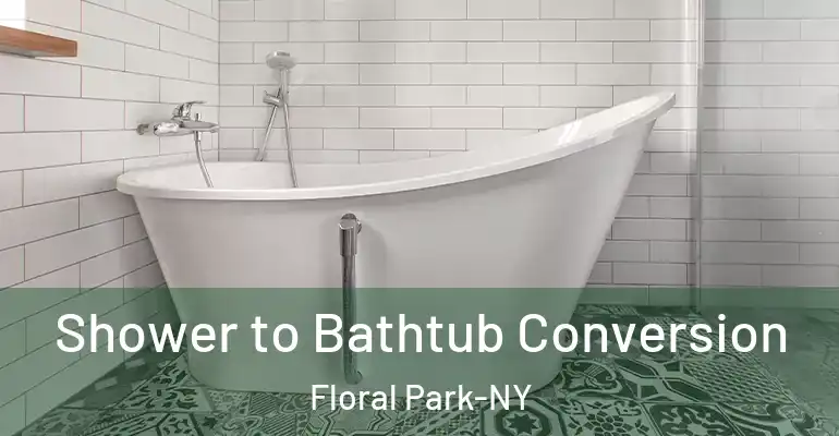 inner Bathroom imggen Shower to Bathtub Conversion Floral Park-NY