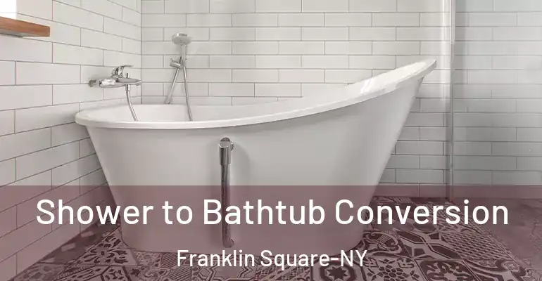 inner Bathroom imggen Shower to Bathtub Conversion Franklin Square-NY