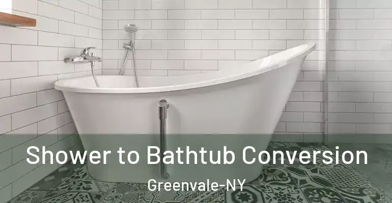 inner Bathroom imggen Shower to Bathtub Conversion Greenvale-NY