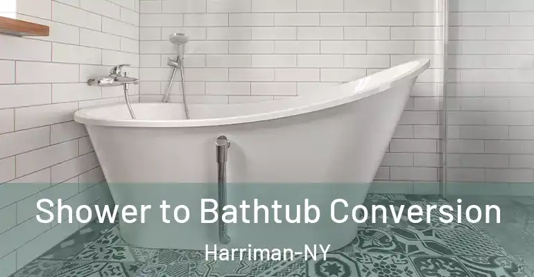 inner Bathroom imggen Shower to Bathtub Conversion Harriman-NY