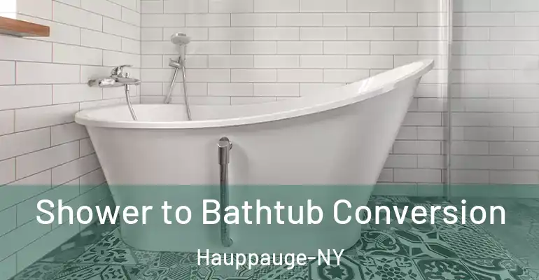 inner Bathroom imggen Shower to Bathtub Conversion Hauppauge-NY