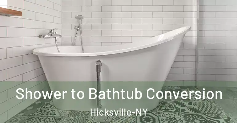 inner Bathroom imggen Shower to Bathtub Conversion Hicksville-NY