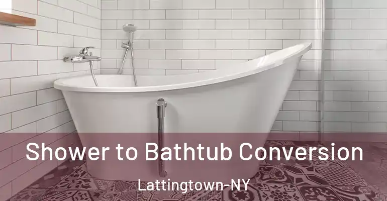 inner Bathroom imggen Shower to Bathtub Conversion Lattingtown-NY