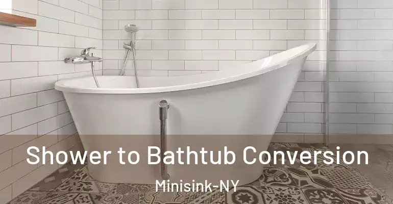 inner Bathroom imggen Shower to Bathtub Conversion Minisink-NY
