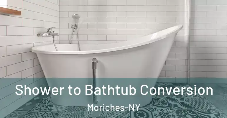 inner Bathroom imggen Shower to Bathtub Conversion Moriches-NY