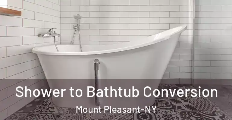 inner Bathroom imggen Shower to Bathtub Conversion Mount Pleasant-NY