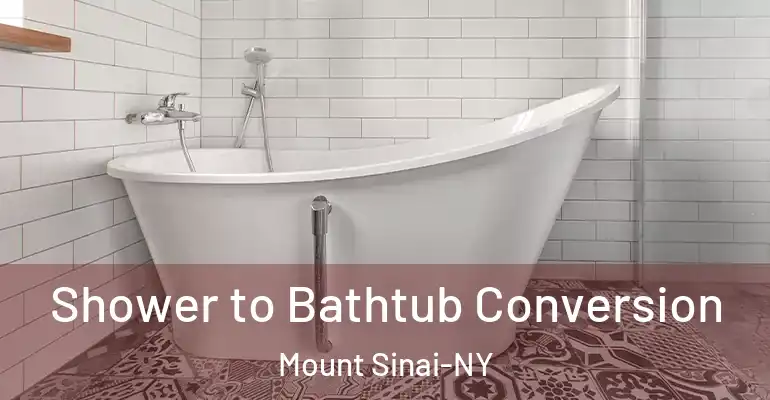 inner Bathroom imggen Shower to Bathtub Conversion Mount Sinai-NY