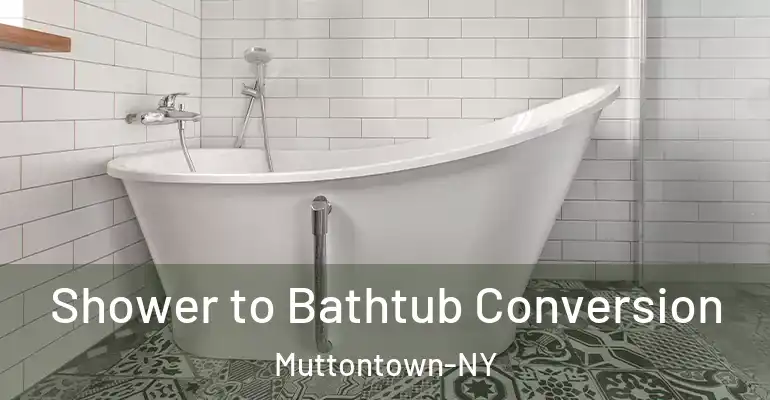 inner Bathroom imggen Shower to Bathtub Conversion Muttontown-NY