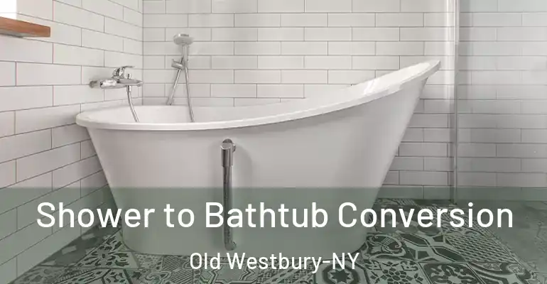 inner Bathroom imggen Shower to Bathtub Conversion Old Westbury-NY