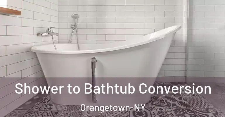 inner Bathroom imggen Shower to Bathtub Conversion Orangetown-NY