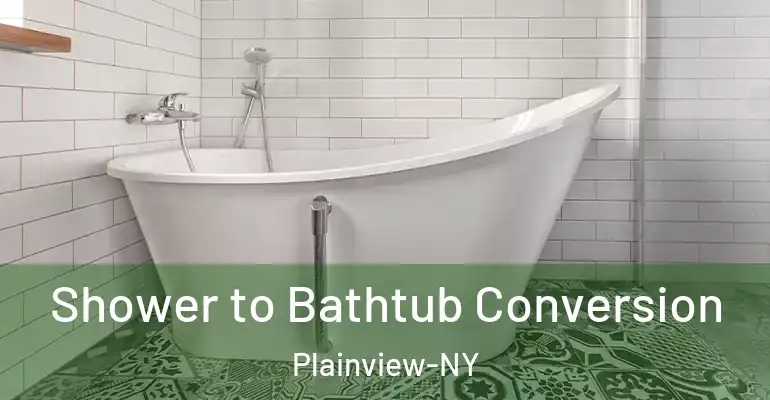 inner Bathroom imggen Shower to Bathtub Conversion Plainview-NY