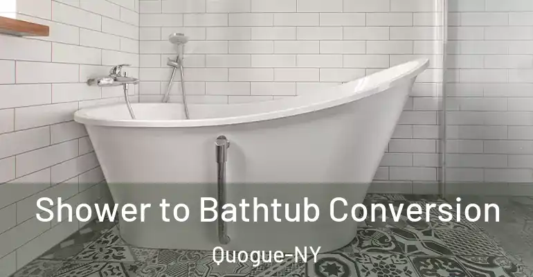 inner Bathroom imggen Shower to Bathtub Conversion Quogue-NY