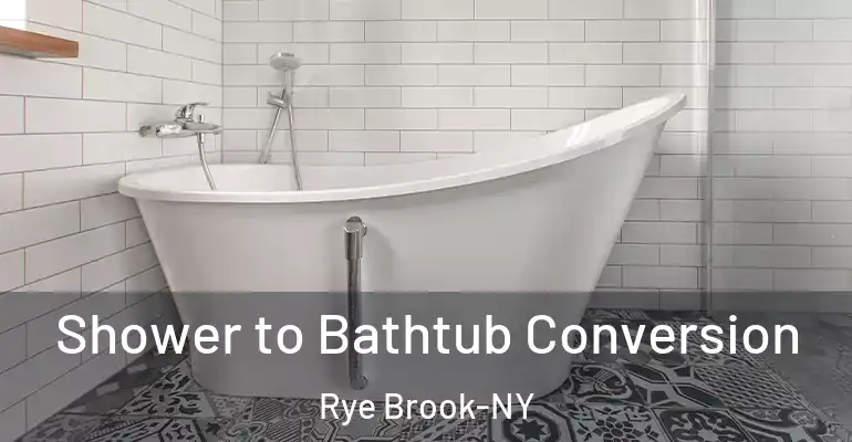 inner Bathroom imggen Shower to Bathtub Conversion Rye Brook-NY