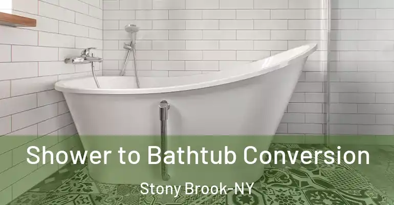 inner Bathroom imggen Shower to Bathtub Conversion Stony Brook-NY