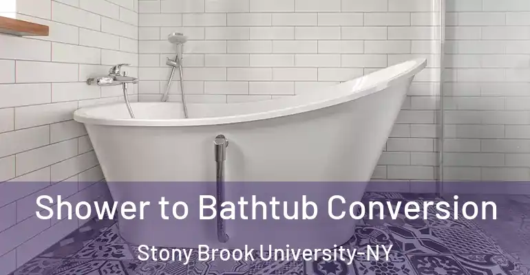 inner Bathroom imggen Shower to Bathtub Conversion Stony Brook University-NY