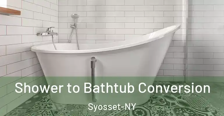 inner Bathroom imggen Shower to Bathtub Conversion Syosset-NY