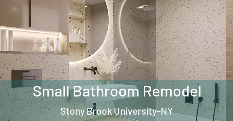 inner Bathroom imggen Small Bathroom Remodel Stony Brook University-NY