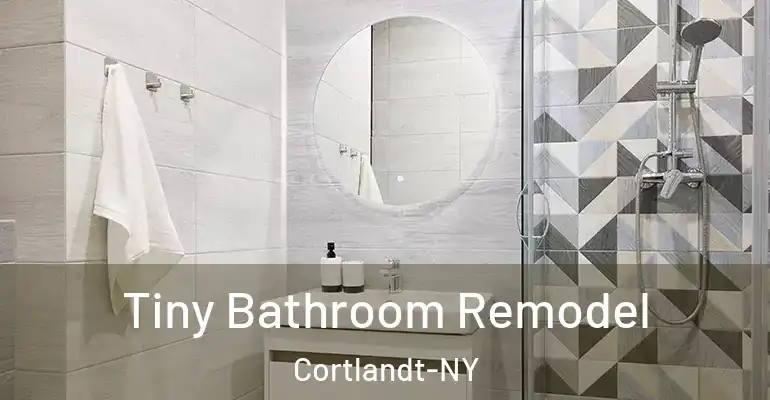 inner Bathroom imggen Tiny Bathroom Remodel Cortlandt-NY