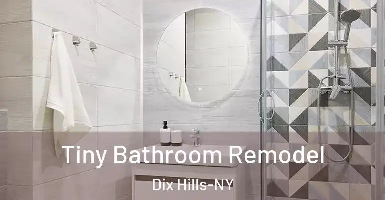 inner Bathroom imggen Tiny Bathroom Remodel Dix Hills-NY