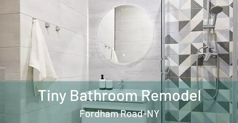 inner Bathroom imggen Tiny Bathroom Remodel Fordham Road-NY